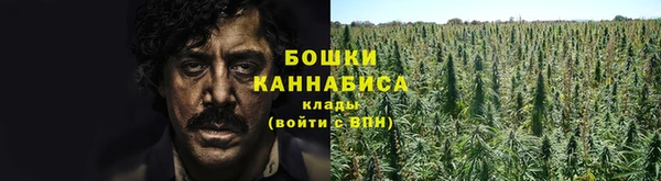 стафф Михайловка