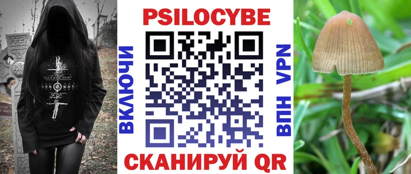Псилоцибиновые грибы Cubensis  Балаково 